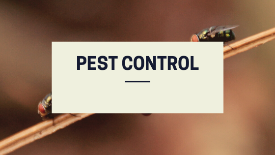 Pest Control knmlnj